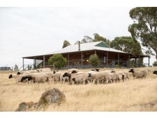 Gilgraves Vineyard Farmstay Farm stay, Victoria - 2