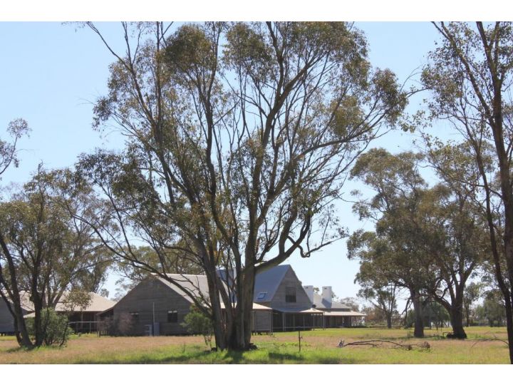 Yarrabandai Creek Homestead Farm stay, New South Wales - imaginea 18