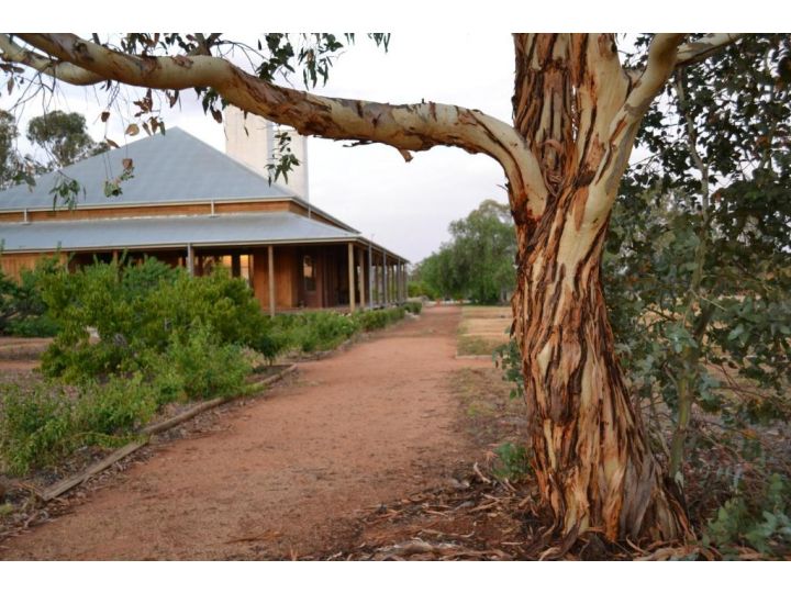 Yarrabandai Creek Homestead Farm stay, New South Wales - imaginea 12