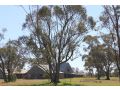Yarrabandai Creek Homestead Farm stay, New South Wales - thumb 18
