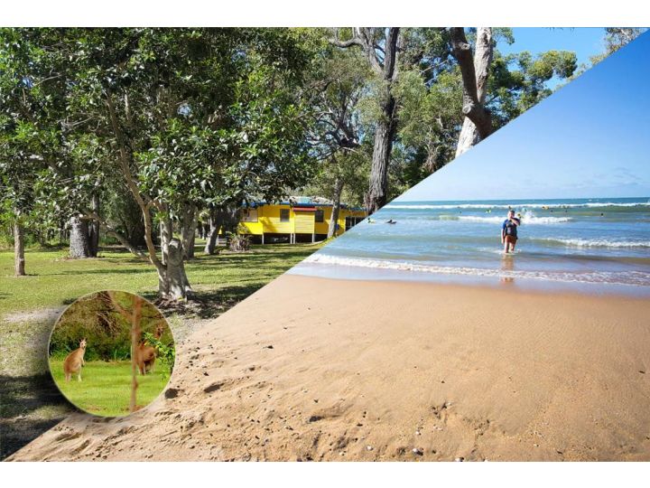 Yellow Cottage - bush and beach Guest house, Agnes Water - imaginea 2