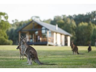 Yering Gorge Cottages Aparthotel, Victoria - 1